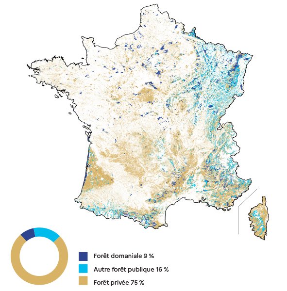 Forêt privée vs forêt publique : à qui appartient la forêt française ? Réponse sur l’excellent portail de l’IGN sur la forêt qui vient de publier l’inventaire 2022🌳 foret.ign.fr