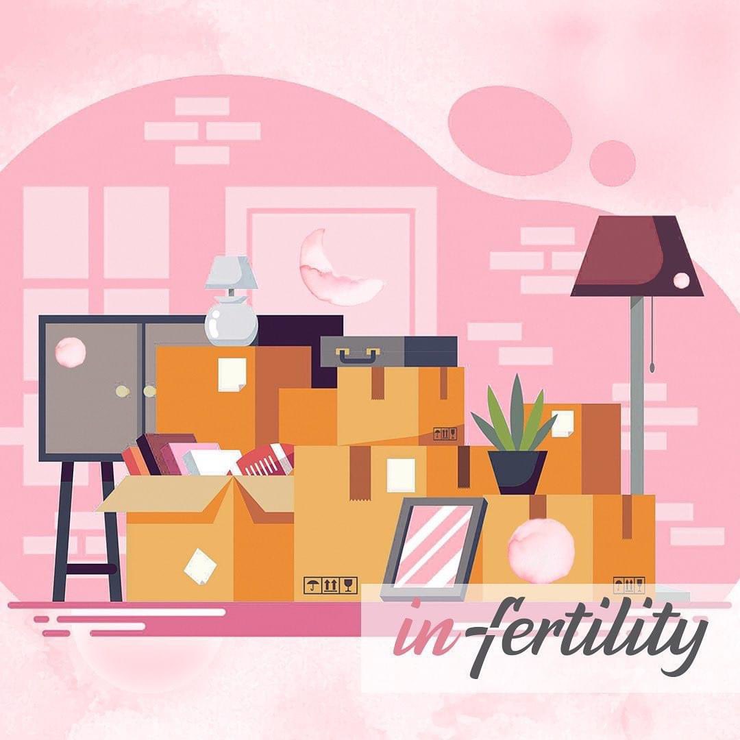 inthefertility's tweet photo. Weβre moving. π¦ That's why a bit of silence. Bigger. Better. Louder. #FerTeen is the most valuable project #inthefertility. #weteachfertility #fertilityatschools #fertilityprotection #knowingfertility #fertilityrisks #infertility #globalfertiled #fertilitybiology #education https://t.co/XTmtWdx6r3