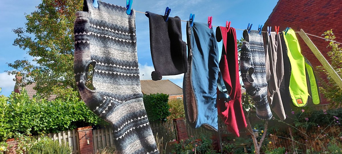 KimiWhippet's tweet image. Look! My wardrobe is blowing in the wind! 🐾🐾🤣