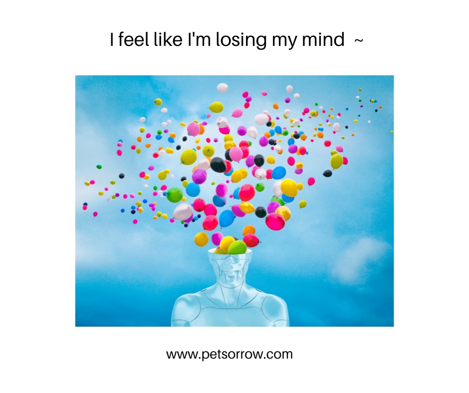 What you are experiencing is normal. It's all part of the grief process. You must go through it in order to heal it. But you can and will make it through, just keep moving 🦋

#petlossgrief #healingsolutionsforpetloss #griefandloss