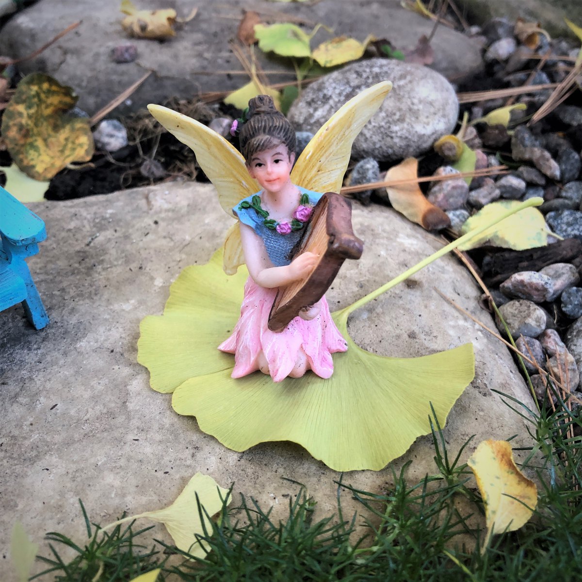 Good morning from the Fairy Garden! Brigid is finding it a bit chilly to sit on the rock so she has found a nice ginkgo leaf to sit on!

#Fairy #Gnome #FairyGarden #GnomeGarden #Dance