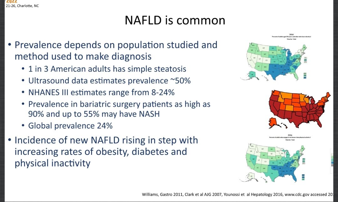 Learning about fatty liver 👇 by <a href="/sidbarritt4/">sidbarritt4</a>. 1 in 3 american adults have simple steatotis #acgpgcourse #acg2022