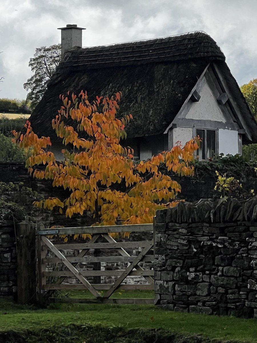 TyMawrLime's tweet photo. Some of our thatch, looking wonderful on a wet, autumnal Sunday! We are pleased to be hosting another #thatchingcourse in 2023, run by #masterthatcher - Alan Jones - book your place now - by clicking here - not to be disappointed. https://t.co/asBBnjlD5x https://t.co/k57IAdlW8l