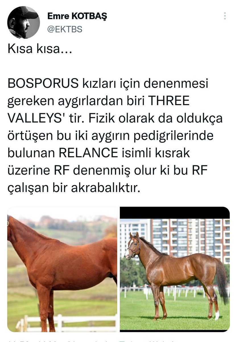Emre KOTBAŞ (@ektbs) on Twitter photo Çimi eksik yavrular vermesi büyük handikap oldu. Çimci dişi yavruları <a href="/_3Valleys_/">Three Valleys</a> için aranan kan resmen Çimi eksik yavrular vermesi büyük handikap oldu. Çimci dişi yavruları <a href="/_3Valleys_/">Three Valleys</a> için aranan kan resmen