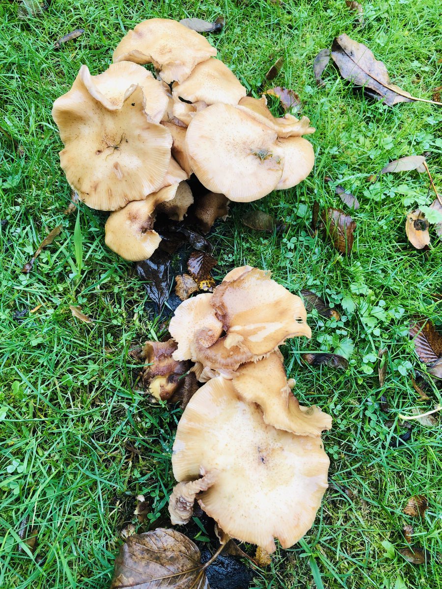 ANDREW NUTTER tweet media