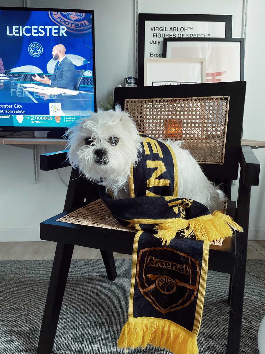 veesabharwal's tweet photo. Match day with Brooklyn. She’s a loyal Arsenal fan. @peacock #MyPLMorning #NBCPremierLeague https://t.co/lkNR1eUpxr