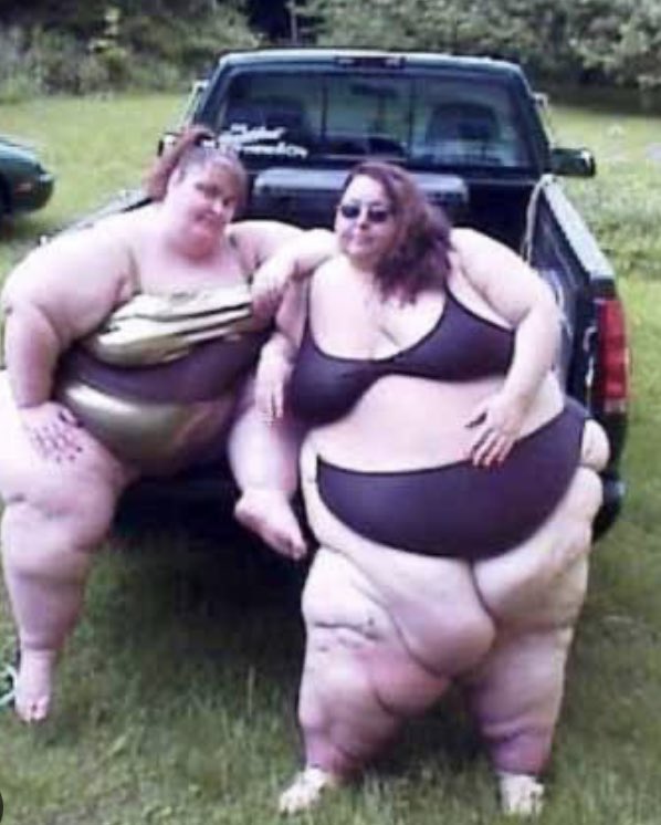 TimHalliday11's tweet image. I’ve got a couple of sorts lined up for halftime in the East stand carpark?? Taking Dogging on a tour of Premier League Clubs Anfield next then Molineux. The queue has started already?? #LUFC #ALAW #MOT