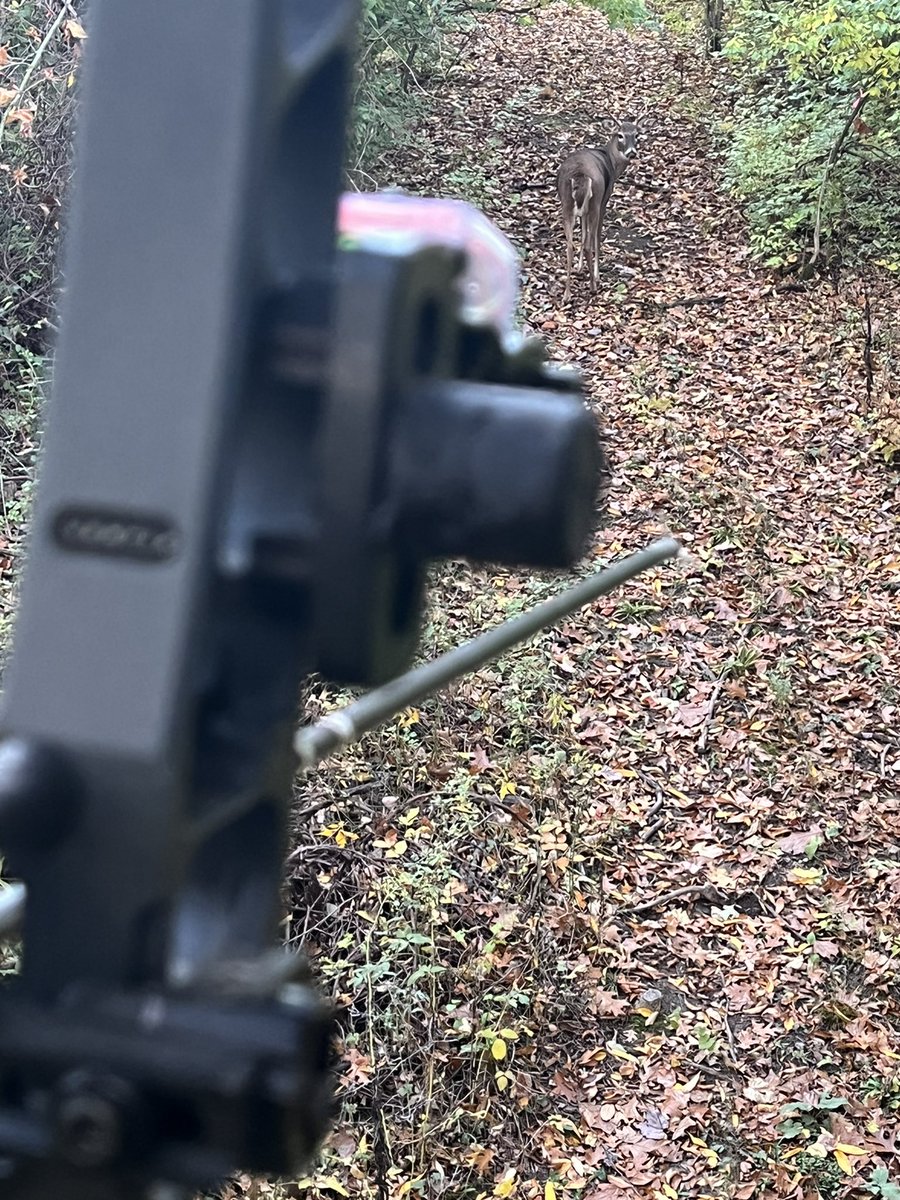 Rob Pouch tweet media