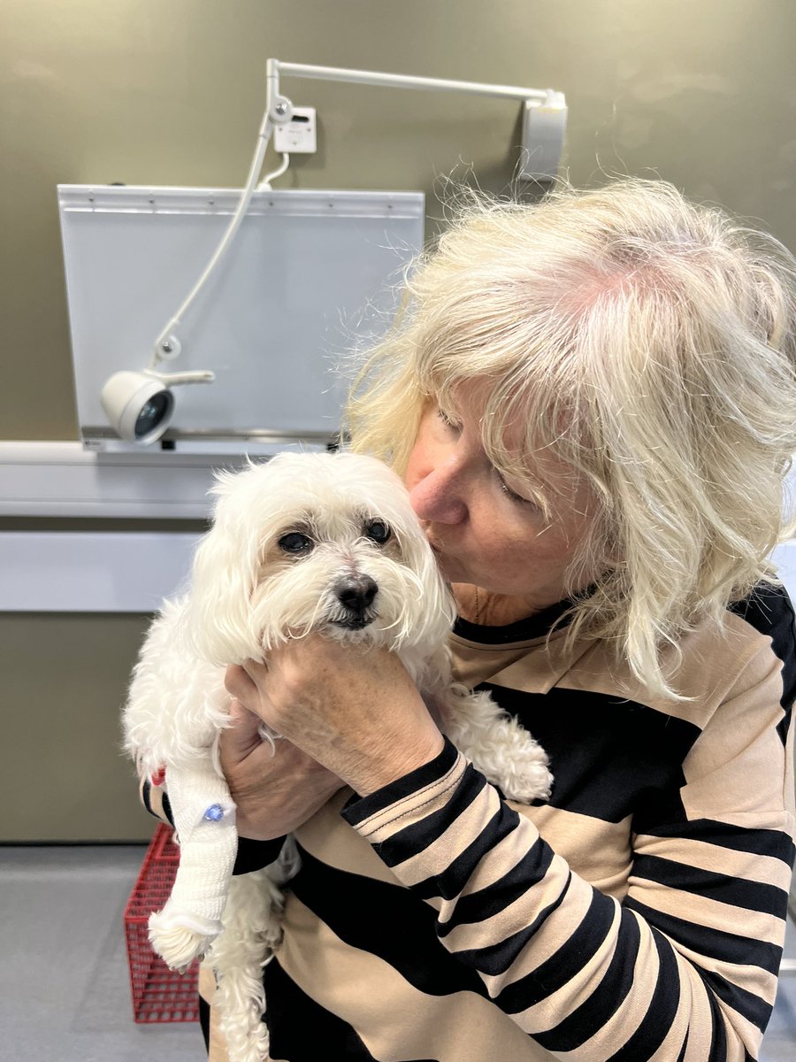 Hollybub:
I’ve seen her today to try &amp; feed her myself-sadly she wouldn’t eat

Feeding tube will be fitted under GA on Mon

So pleased to see her❤️
She’s a little brighter

Will remain in hospital a while yet

❤️Thanks for loving my beautiful girl,Hollybub❤️
#dogsoftwitter
#cats