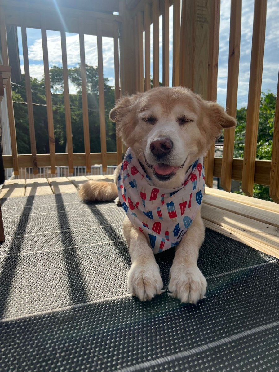 Nothing says home from #IDWeek22 like seeing this dood #KingPac