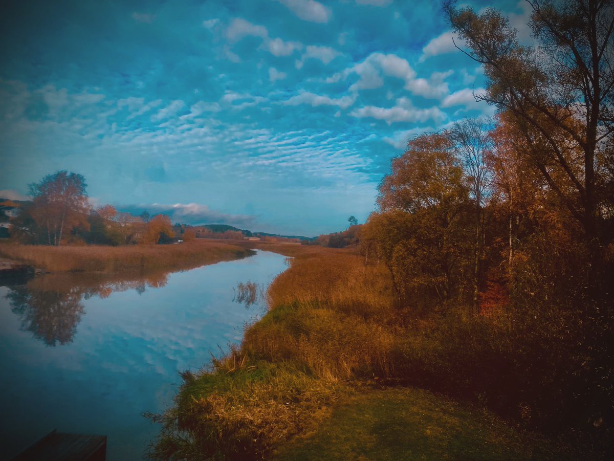 Verden19's tweet photo. 2022 Autumn 🍁; my favorite season ❤️#norway #autumn #fallseason #loveoct https://t.co/HH7BLW4vvF