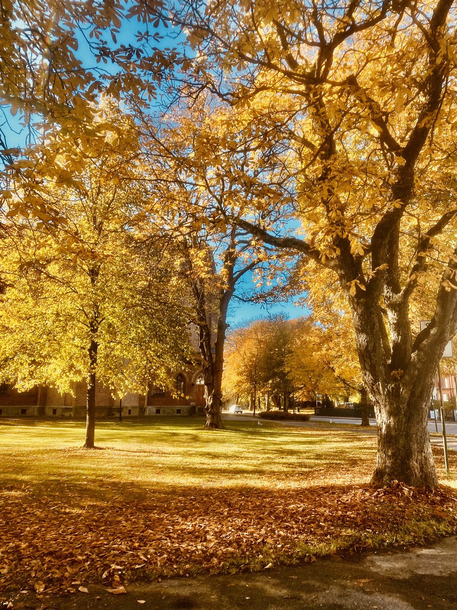 Verden19's tweet photo. 2022 Autumn 🍁; my favorite season ❤️#norway #autumn #fallseason #loveoct https://t.co/HH7BLW4vvF