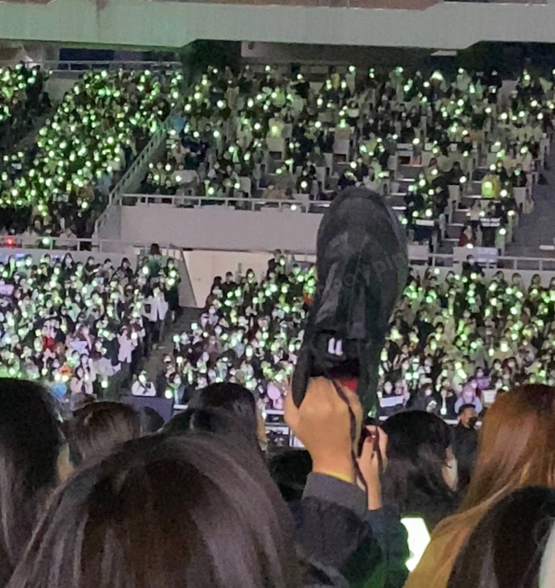 มันจะมีซักกี่คอนที่ฟค.ได้รองเท้าศลป
5555555555555555555555555555555555555555555555555555555555555
