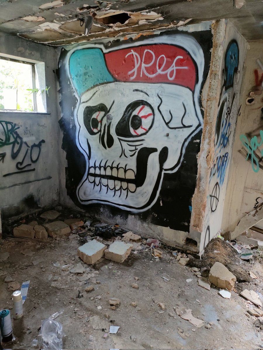 watkins92's tweet photo. Didn't go as planned but came out well
#sprayartist #graffitiart #graffiti
#skulls #graffcity #art #abandonedplaces https://t.co/ItHuBMg9AC