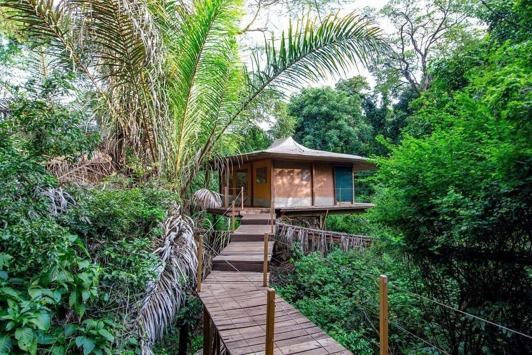 thesharksafaris's tweet photo. B̵a̵l̵i̵ Meru awaits...Go explore it.
📌Rhino River Camp-Meru🇰🇪.
#goplaces #visitmeru #tembeakenya https://t.co/50Z2GaReun