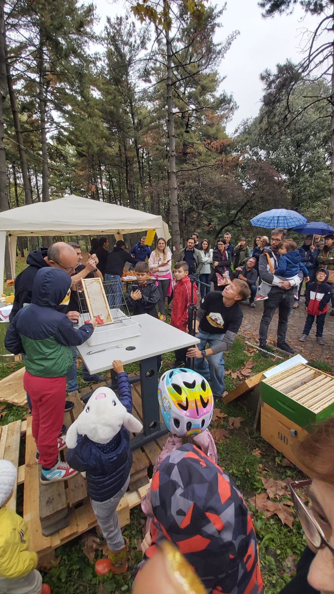 LeApiAlCastello's tweet photo. Here’s a sneak peek of our first public event 🤩
Are you around #Legnano ? Then pass by the #citypark and say hi https://t.co/UayWJj8kpd