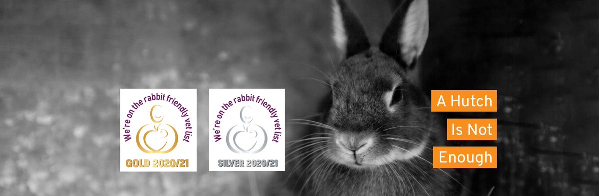 FABClinicians's tweet image. It&apos;s #SpeciesSpectacularSunday !!

Do you know where to find a vet for yor rabbit? The Rabbit Welfare Association and Fund have a register of rabbit friendly vets here;

 bit.ly/3VjEF5A

#rabbitbehaviour #rabbitwelfare