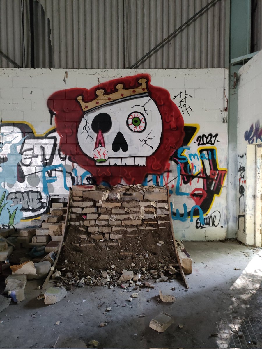 watkins92's tweet photo. I love this one
#sprayartist #graffitiart #graffiti
#skulls #graffcity #art #abandonedplaces https://t.co/3QX6YlqH7Q
