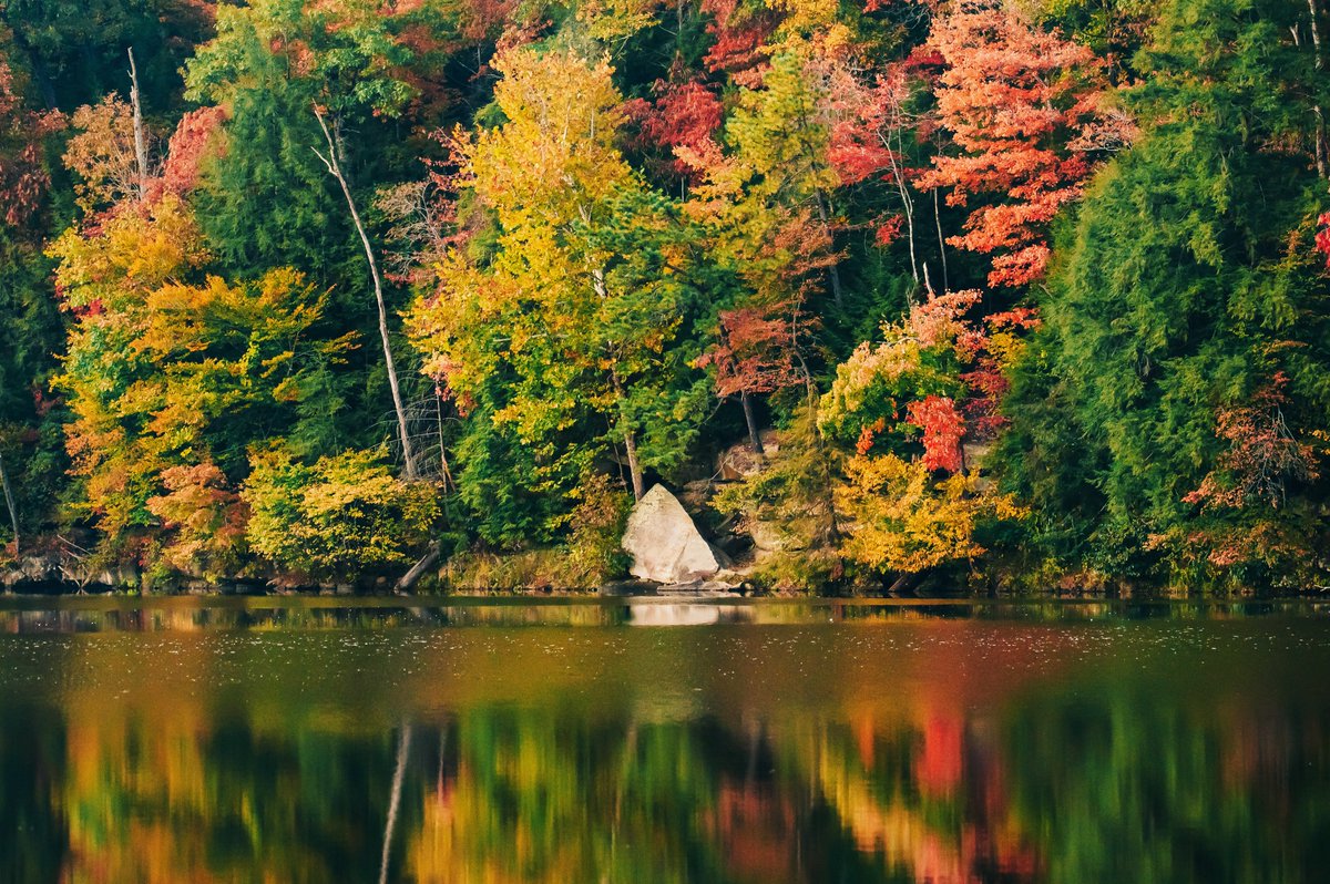 OHStateParks's tweet photo. We just can't help ourselves - fall color is too stunning not to share! π Tiffany Shope shared this beautiful photo from Shawnee State Park π π Where's your favorite spot for fall color? #ohiostateparks #shawneestatepark #fallcolor #fall #OhioFall22 #nature https://t.co/zBnnnQ0JDv