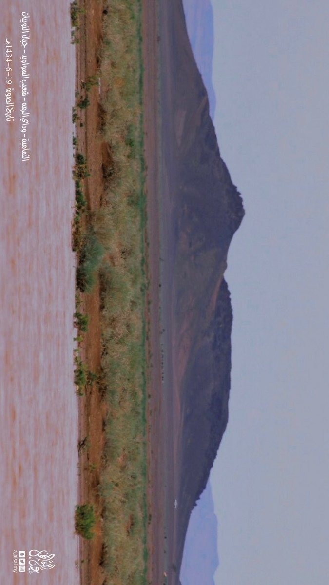 a_alsalimy tweet picture