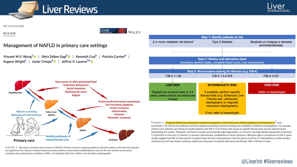 Opportunities of assessment and treatment of #NAFLD in primary care settings 👉 ow.ly/KUE350LiqNk ✍️ @VWSWong @DrJavierCrespo @JVLazarus #livertwitter #liverreviews #NASH