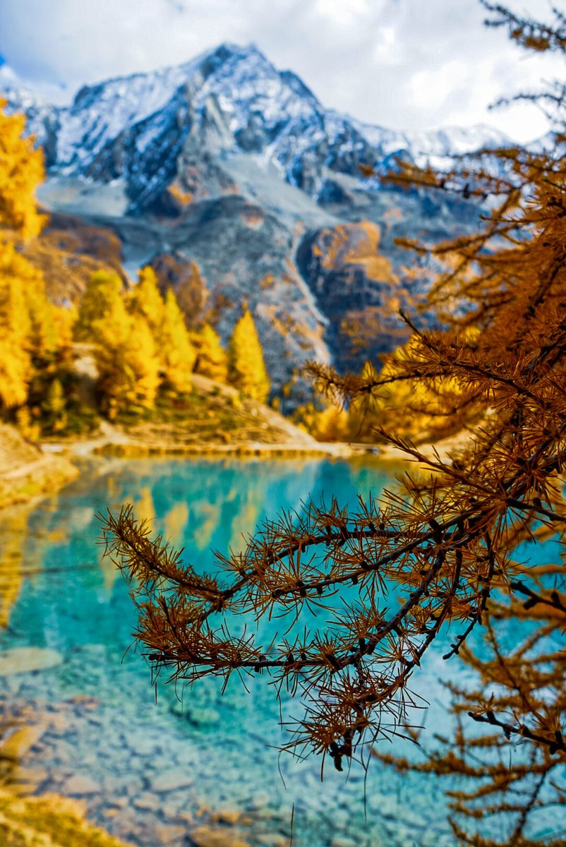GloriaSamadhi's tweet photo. Switzerland today🇨🇭 *¨(✿◠‿◠)☼...🇨🇭 🌞💖
#Switzerland #gloriasamadhi #LoveSwitzerland 💖 #HOH #bandb #hotel #GloryMoments #inspiration #mindfulness #leadconsciously #HotelSwitzerland #coaching   #mbsr #HouseofHarmonySwitzerland #travel #meditation https://t.co/mpeh5QiapW