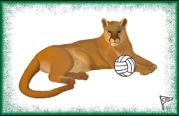 MascotDesigns1's tweet photo. our women's VOLLEYBALL Masco Match of the Day stars an all cat court with COUGARS v TIGERS as @ChicagoStVB plays @Towson_VB 1pm π
#Cougars #GoCougars #Tigers #GoTigers #volleyball
#OurChampionshipEra #GohTigers #UnitedWeRoar #NCAAVB #d1vb #CollegeVolleyball #BuyIntoArt https://t.co/M4Ztp0178e