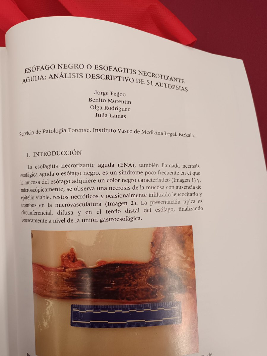 Jorge 🌱 tweet media