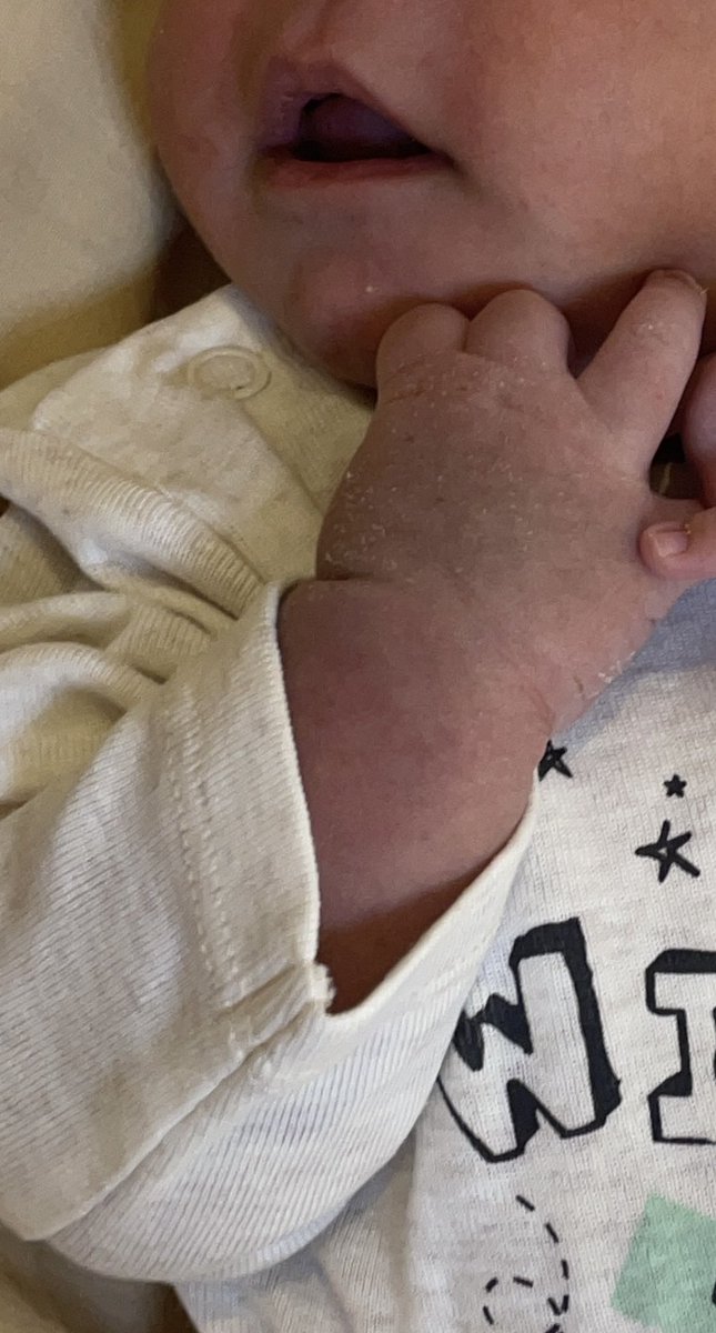 سِمار tweet media