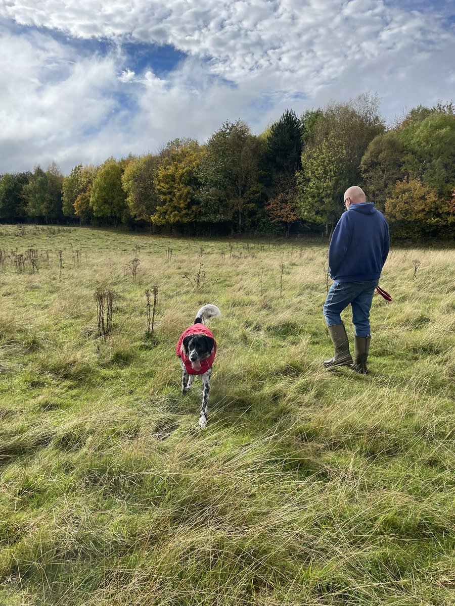 KBurrows240617's tweet image. New waterproof coats for the boys 🐾 💦 🌧 🍂
