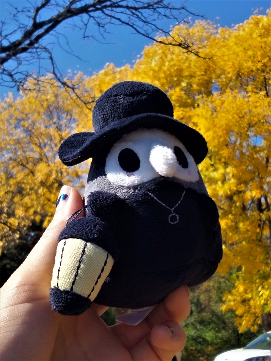 TheweirdoGhona's tweet photo. Had a good weekend the weather was nice and the trees are turning yellow!🖤
Rocco looks great with this background.

#squishable_travel #rocco_the_squishable
#squishable_adventure #squishable_plaue_doctor #plague_doctor_plushie #doctor_plushie #creepy_squishable https://t.co/iMSecYI0BV