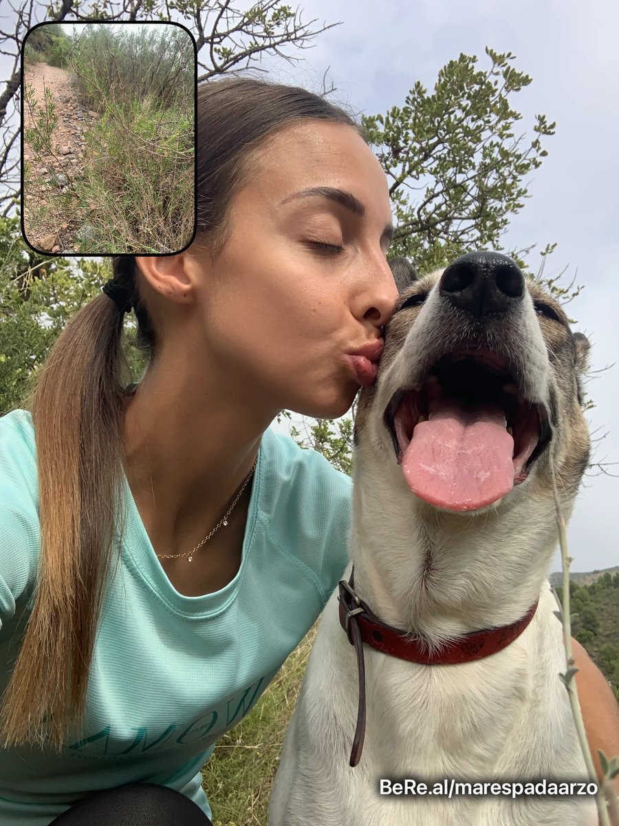 Mar Espada Arzo tweet media