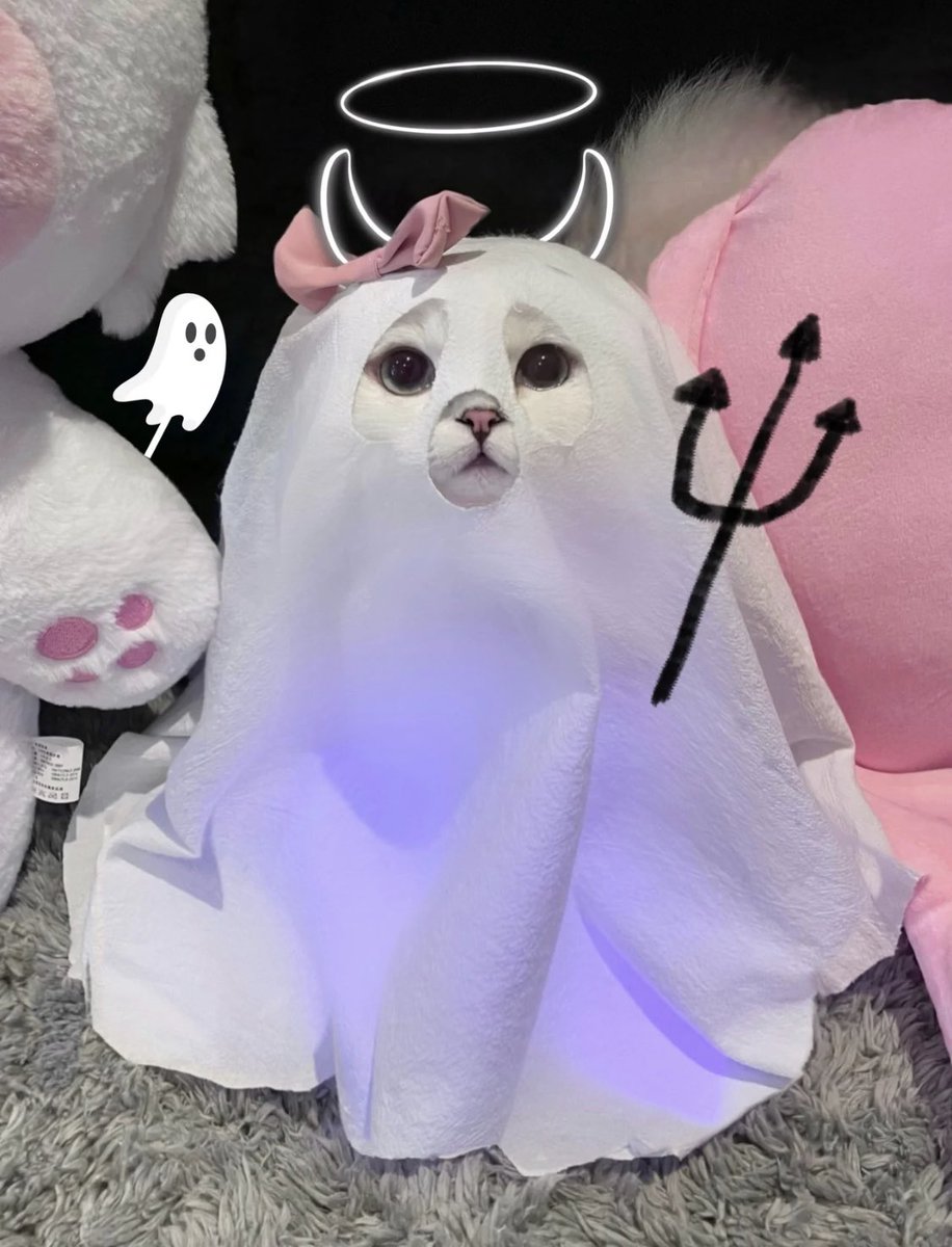 piinkimi_'s tweet photo. boo https://t.co/uQF4hSfvIO