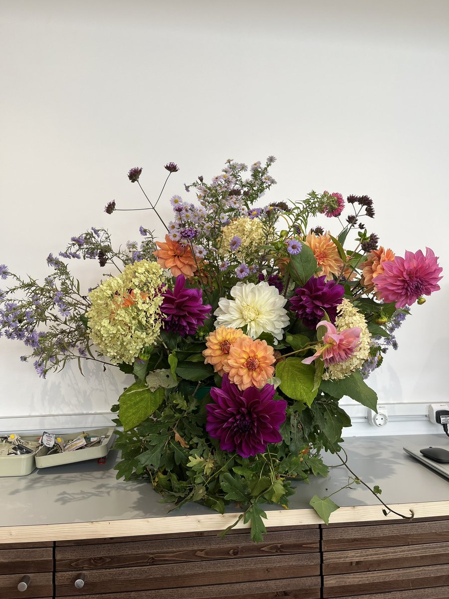 FrankieDev's tweet photo. Week 42 #somethinginavase is actually I’m my (disguised by foliage) plastic, green mop bucket. A giant display of garden blooms for a work event on Friday evening. https://t.co/eZUip7h0pL