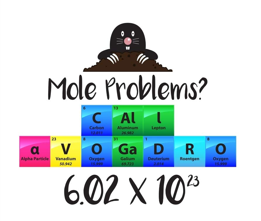 Astro_Cady's tweet photo. 🥳Happy Mole Day! Commemorating #Avogadro's Number (6.02 x 10^23) and fostering interest in #chemistry. Find out more at https://t.co/ZJNGBTSGda
#MoleDay https://t.co/CsiwkkzfCm