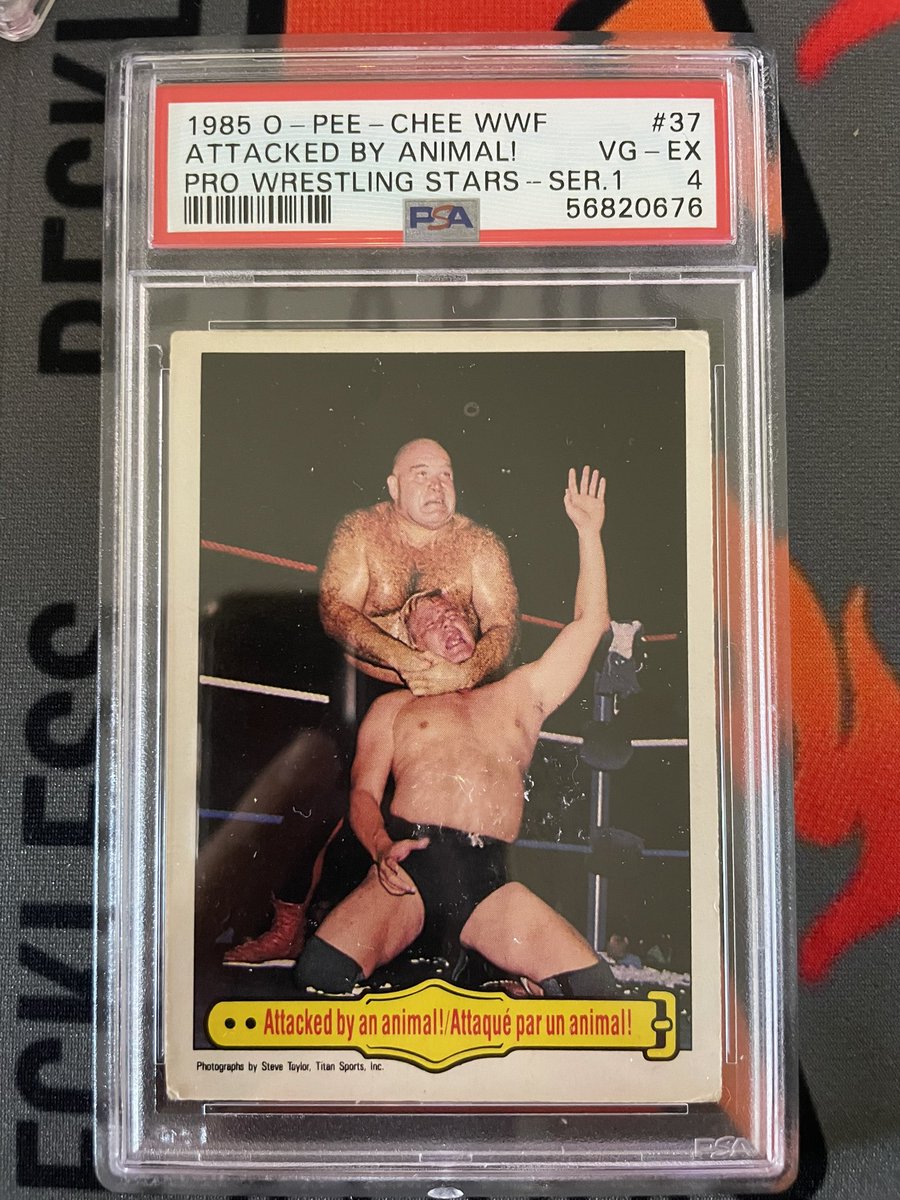 2thiccpod's tweet photo. What’s better than being 2 Thicc? How about having George The Animal Steele’s sweaty hairy Thicc body rubbing against you while choking you unconscious!
@Manuel_Fores @reckless_cards
#2thicc #2thiccpod #mannycards #recklesscards #whodoyoucollect #thehobby #psa #wwe #wwf #topps https://t.co/WLcSI0C5DK