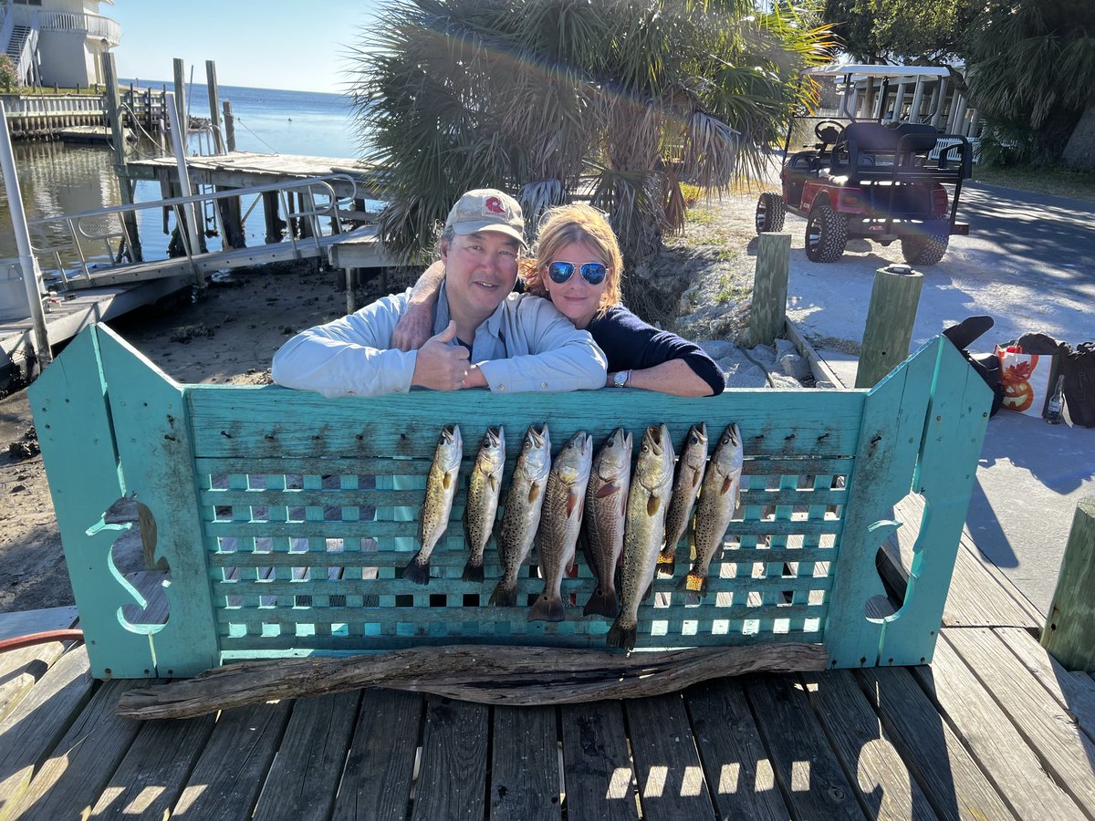 Erica Leith Mitchell MD EdM FACS DFSVS tweet media