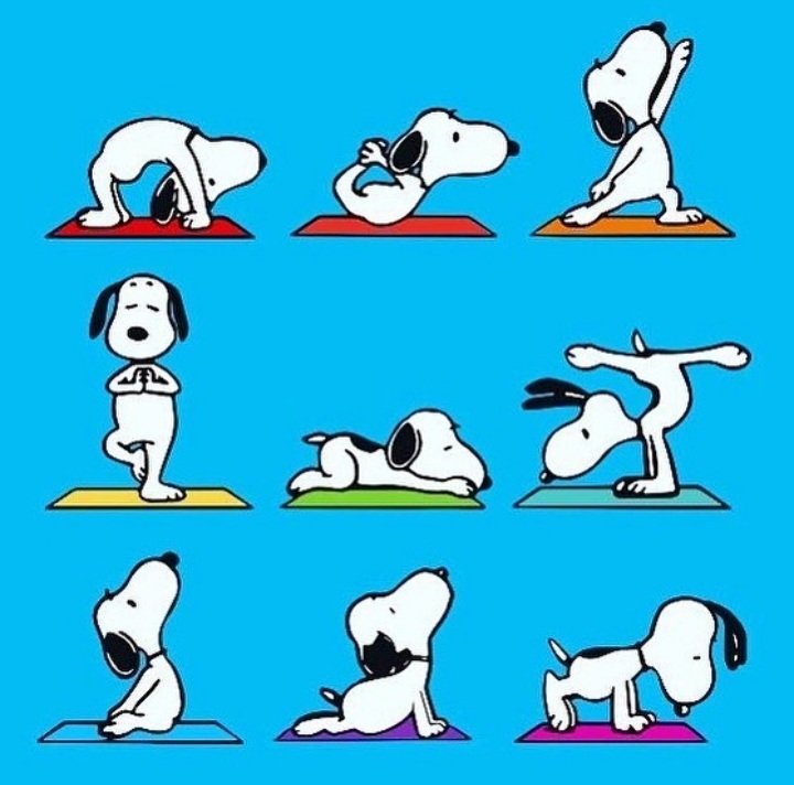 Snoopy Yoga 🧘‍♀️ 🧘‍♂️