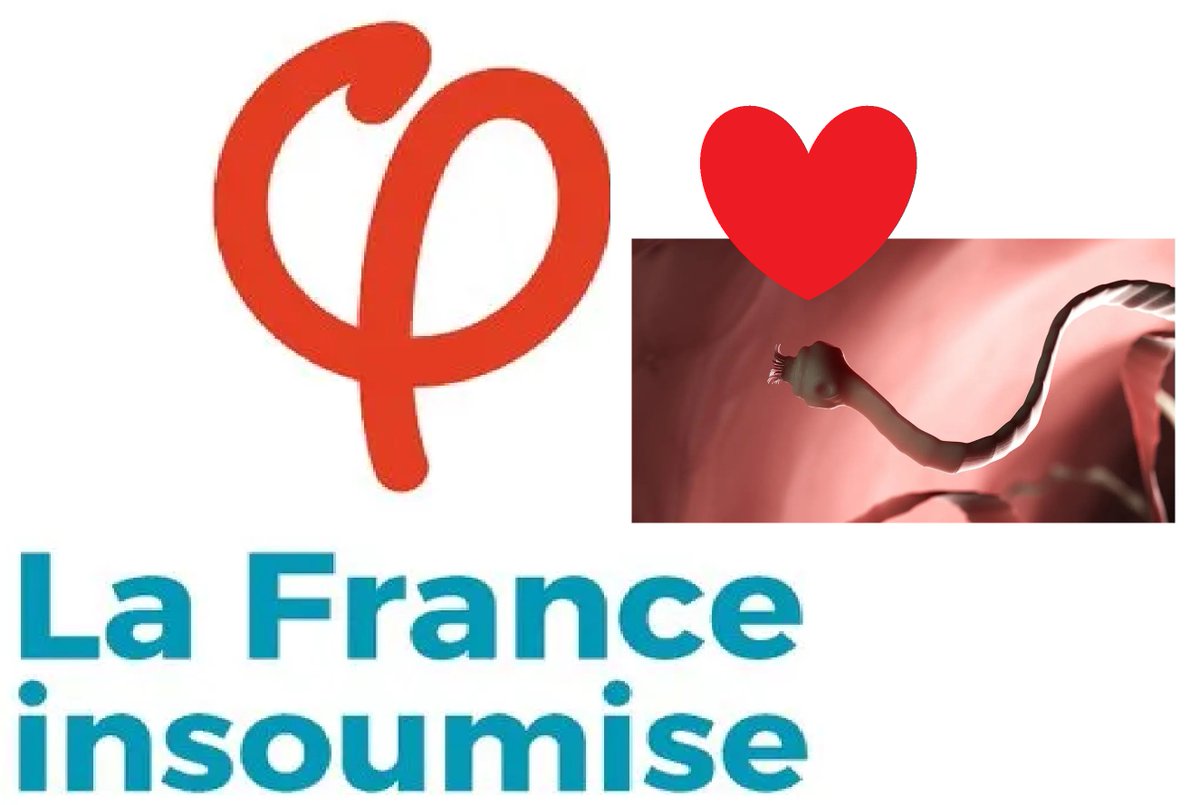 Capitaine P. Flam (@capitainepflam1) on Twitter photo 