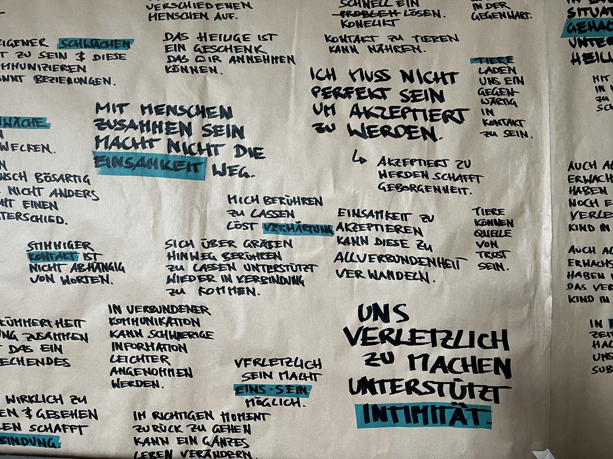 Am Wochenende war ich zur #Prozessbegleitung im #Ökodorf #SchlossBlumenthal. Wir haben #Geschichten aus dem #Gemeinschaftsleben gehört und daraus #Einsichten zu sozialen Dynamiken gesammelt.
