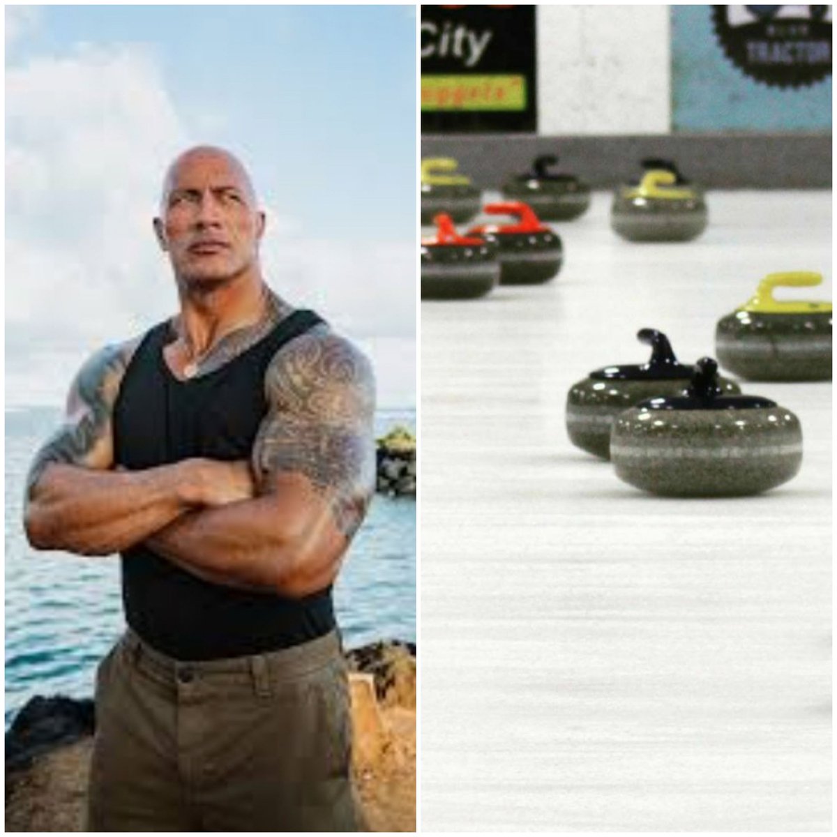 TC Curling Club tweet media