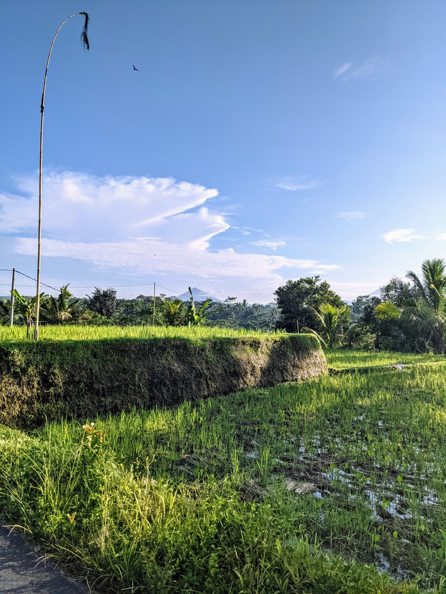 Auliaan_'s tweet photo. @nikkoilham #shotbyme #pixel4XL #teampixel https://t.co/ugD9Y9xhVA
