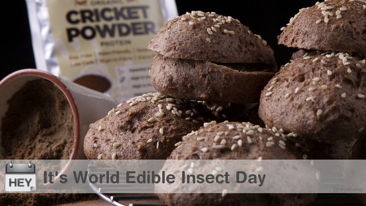 It's World Edible Insect Day! #WorldEdibleInsectDay #EdibleInsectDay #CricketPowder