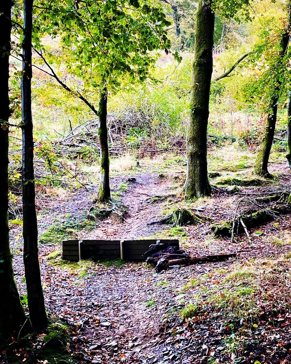drdafyddj's tweet photo. Trail centres like Cwmcarn are a godsend when the local trails are becoming mudfests. On and off piste trails running really well given the weather. Great couple of hours today. #tidytrails #cwmcarnmtb #cwmcarnforestdrive #emtb #absolutemtb https://t.co/gR79ZKBcVG
