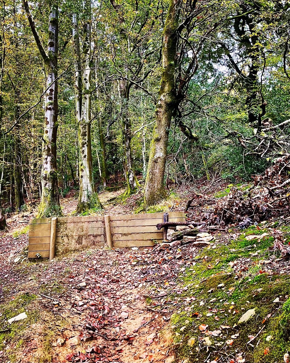 drdafyddj's tweet photo. Trail centres like Cwmcarn are a godsend when the local trails are becoming mudfests. On and off piste trails running really well given the weather. Great couple of hours today. #tidytrails #cwmcarnmtb #cwmcarnforestdrive #emtb #absolutemtb https://t.co/gR79ZKBcVG