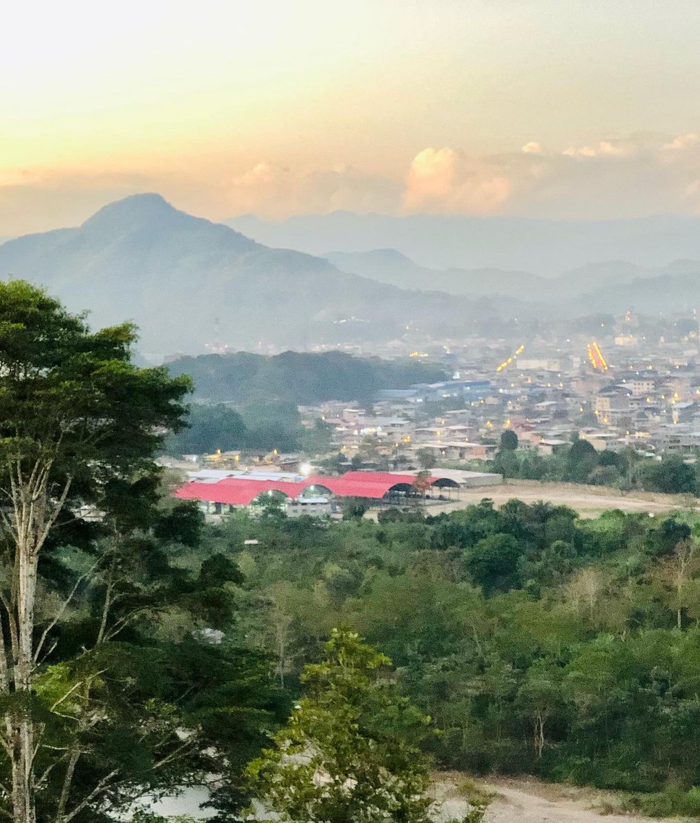 🌴🌦
.
#tingomaria
#huanuco
#selvaperuana