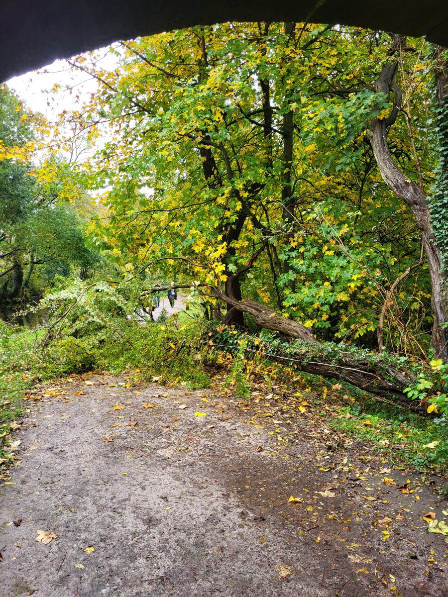 Iainwild's tweet photo. @CRTContactUs tree down on the towpath between Bingley and the fishermans pub, on the Leeds Liverpool Canal. https://t.co/fwlzP8hCsK