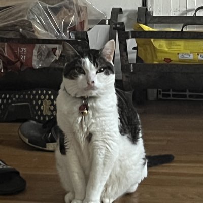 patches_da's tweet photo. #NewProfilePic https://t.co/jAQrHquy0y