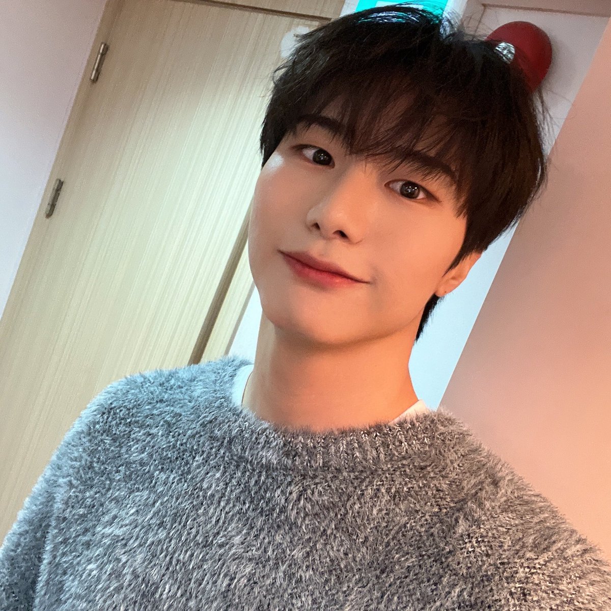 vctbbl's tweet photo. 221023 21:27 KST 🐶 https://t.co/3iW1H5F8DS