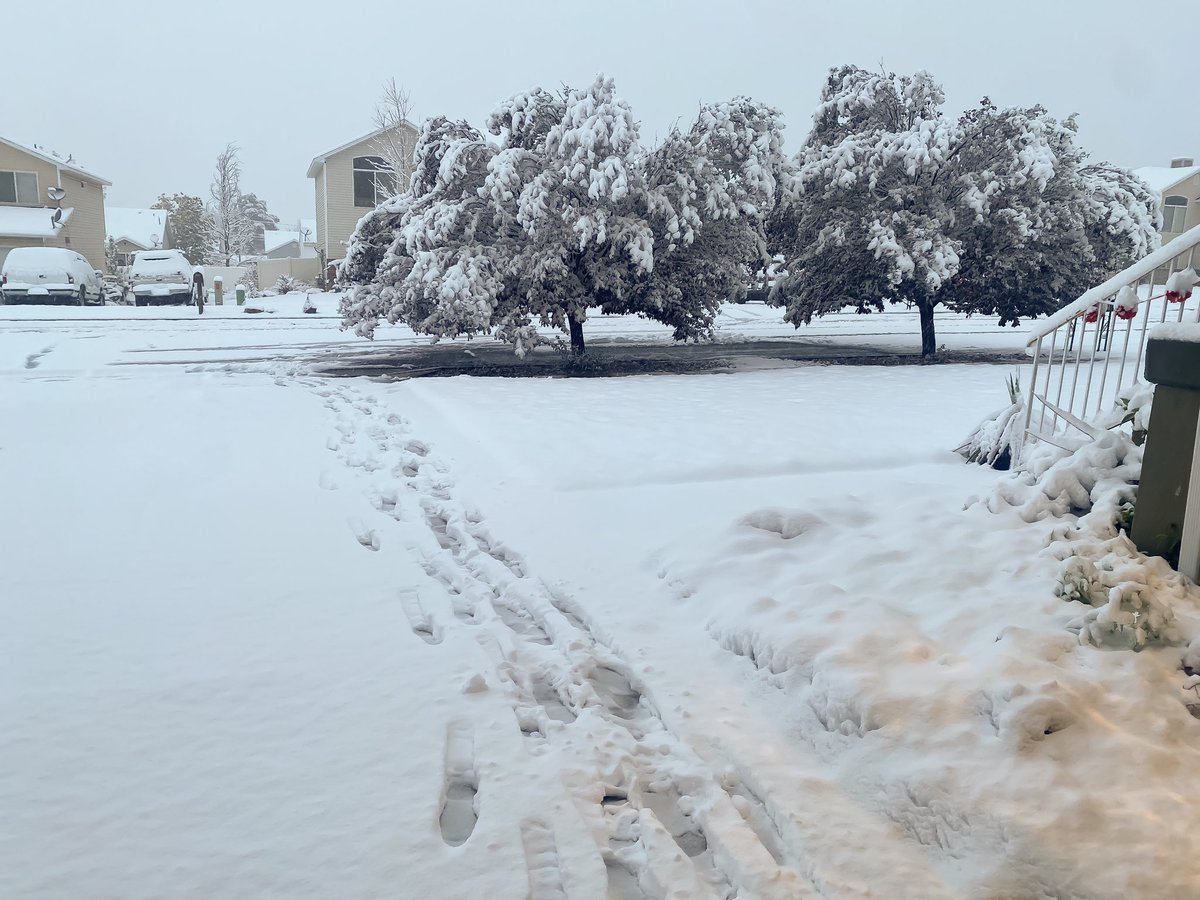 Derek_Photog's tweet photo. A Winter wonderland this morning in #Tooele #utwx https://t.co/c43d2VHYKL